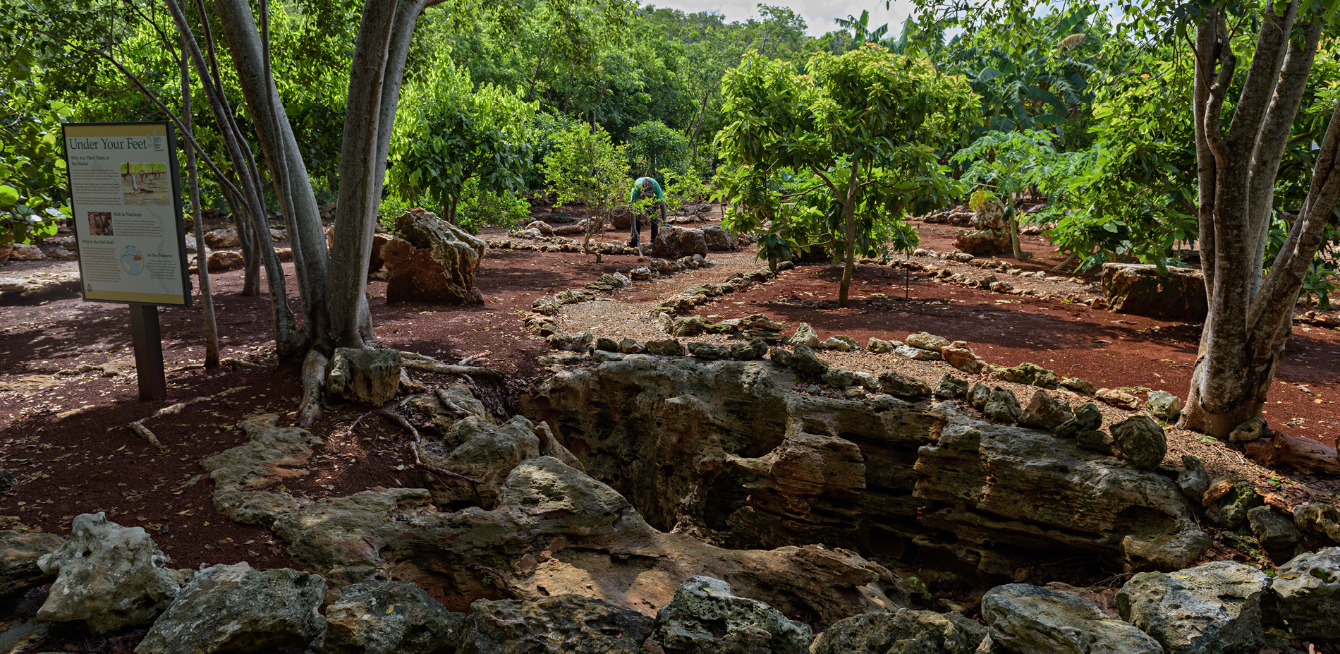 The Leon Levy Native Plant Preserve Cultural Agriculture Exhibit